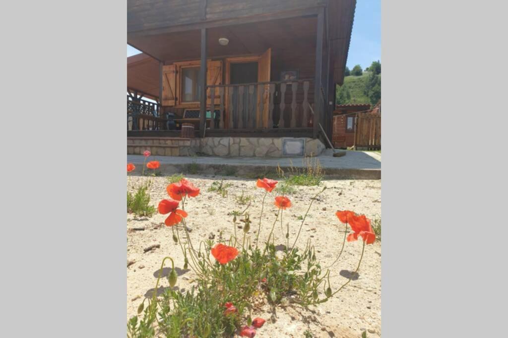 Cabana De Madera Especial Y Acogedora Карденете Экстерьер фото